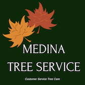 Medina Tree Service